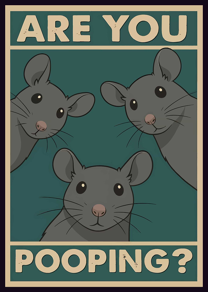 Are You Pooping? Rats Cartoon Poster