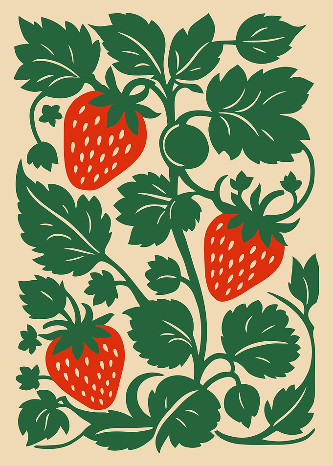 Strawberry Plant Illustration