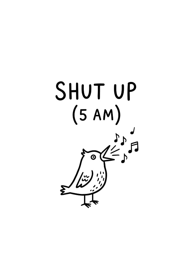 Shut Up (5 AM) Bird