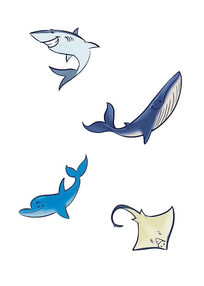 Cartoon Sea Animals Illustration