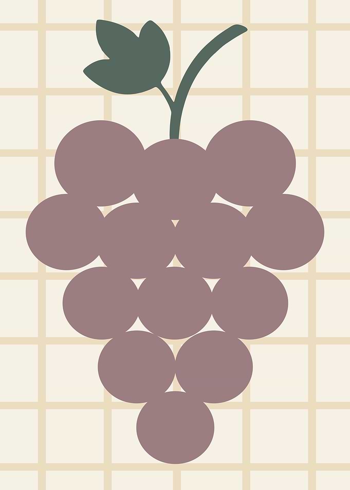 Stylized Grape Illustration