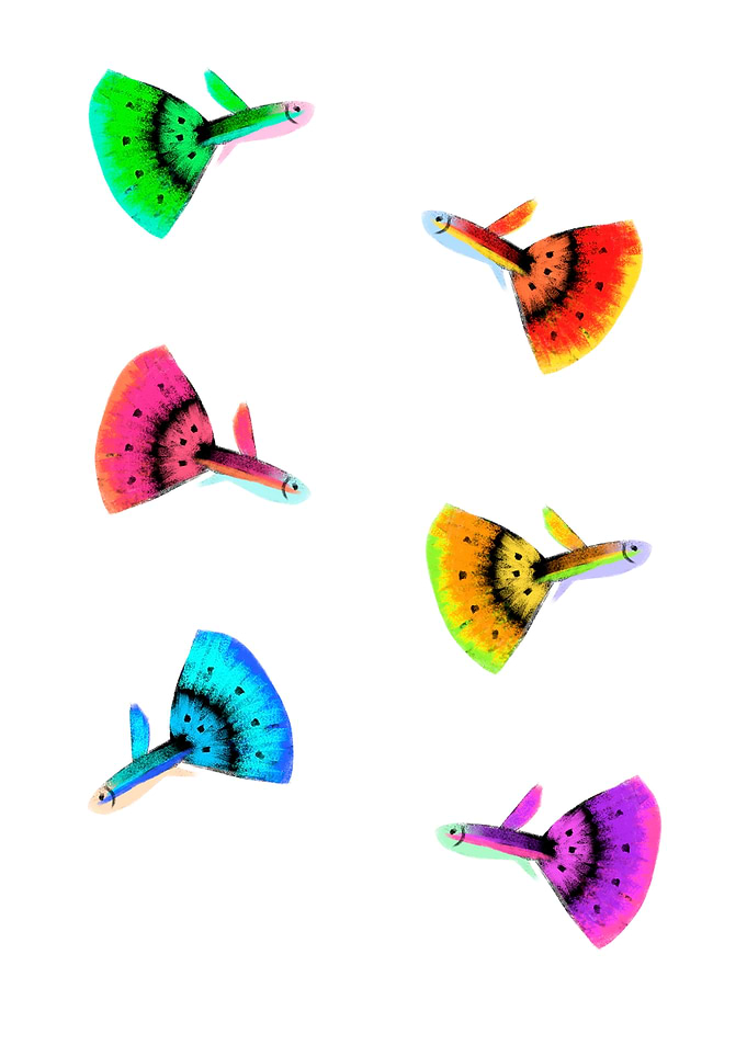 Colorful Guppy Fish Pattern