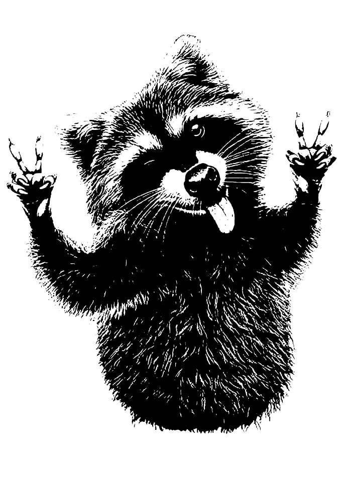 Raccoon Peace Sign Black and White