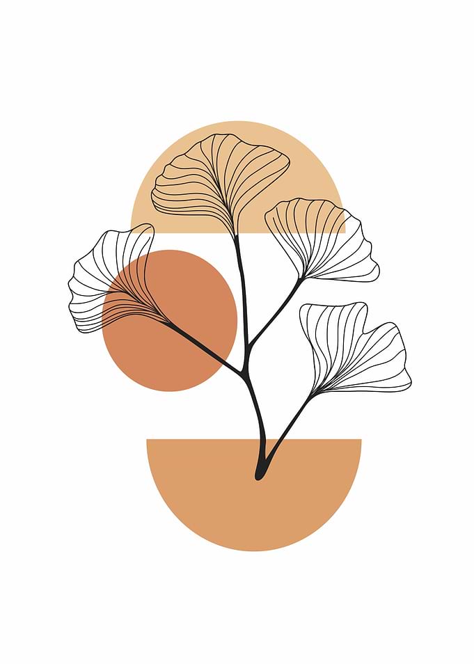 Minimalist Ginkgo Leaf Abstract