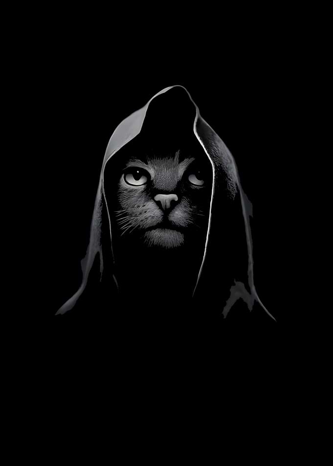 Hooded Cat in the Dark