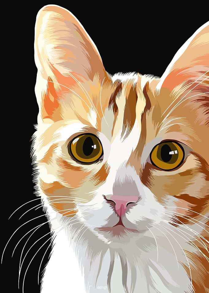 Orange Tabby Cat Portrait