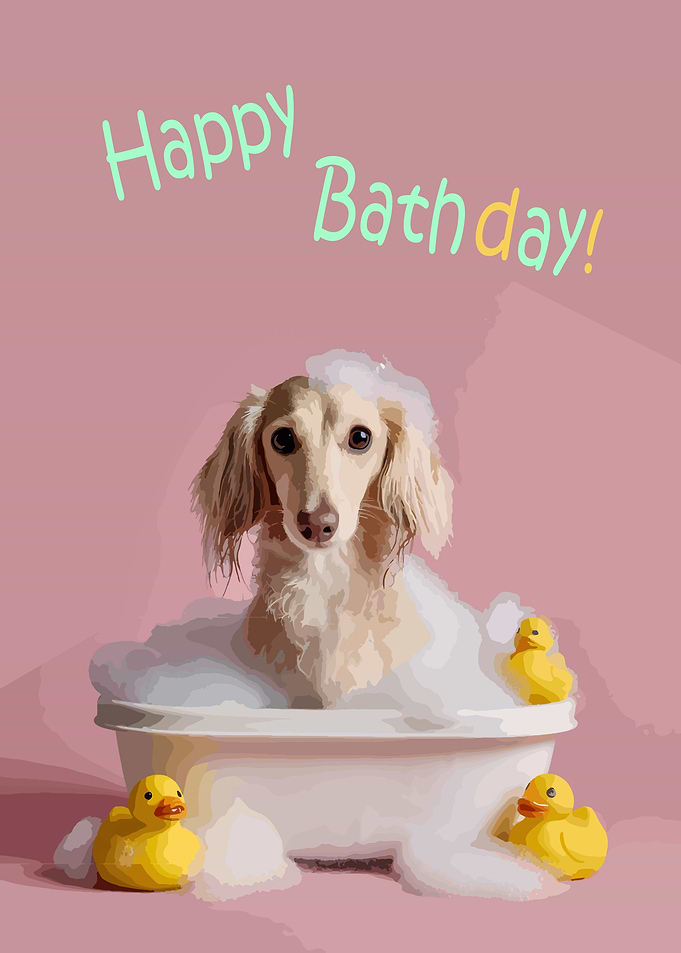 Happy Bathday Dog with Rubber Ducks