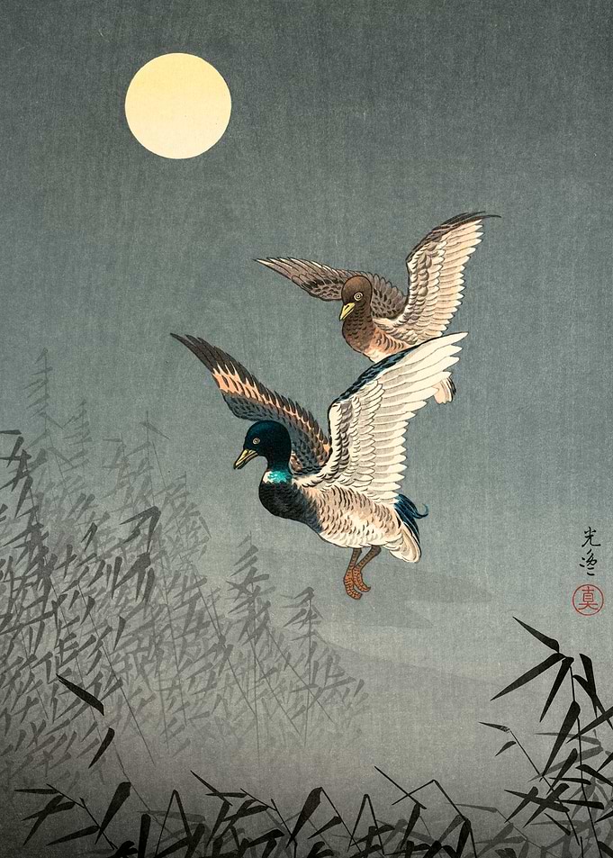 Ducks Flying Under the Moon