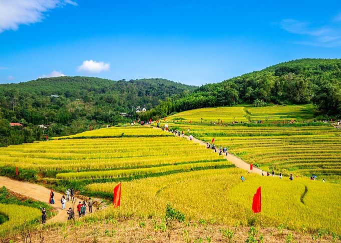 Rice Terraces and People