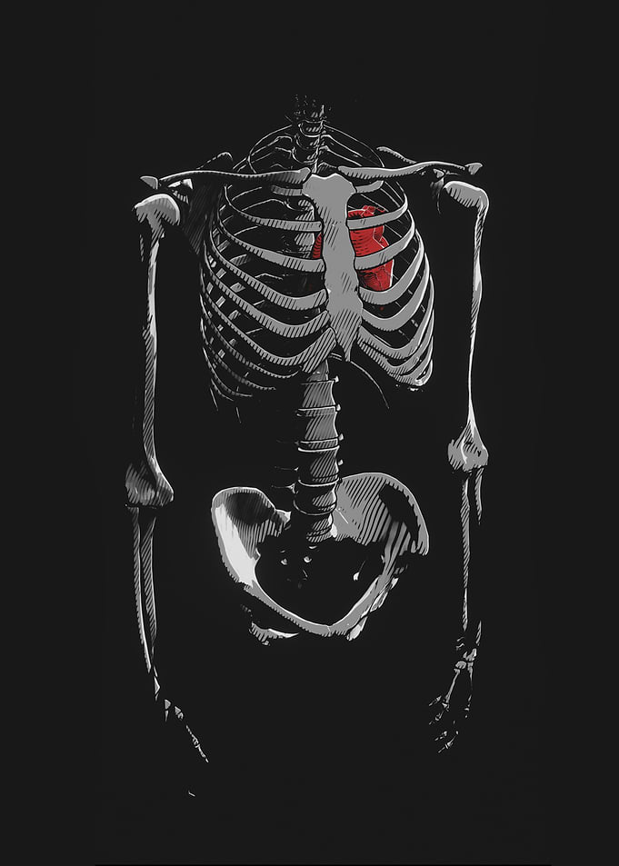 Anatomical Skeleton with Red Heart