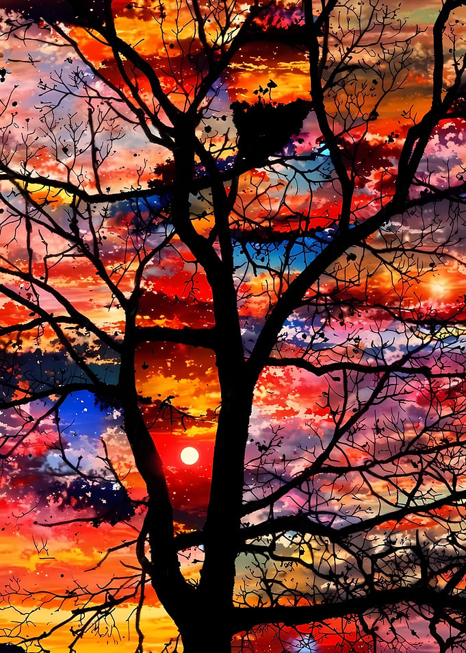 Silhouette Tree Against Colorful Sky