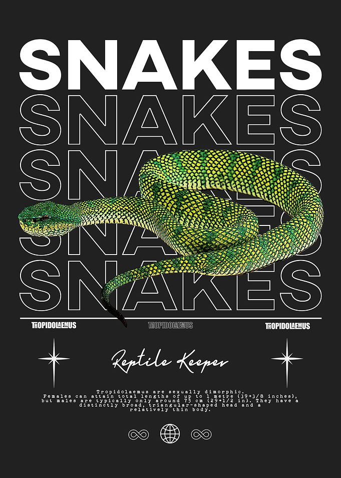 Tropidolaemus Green Viper Snake Keeper