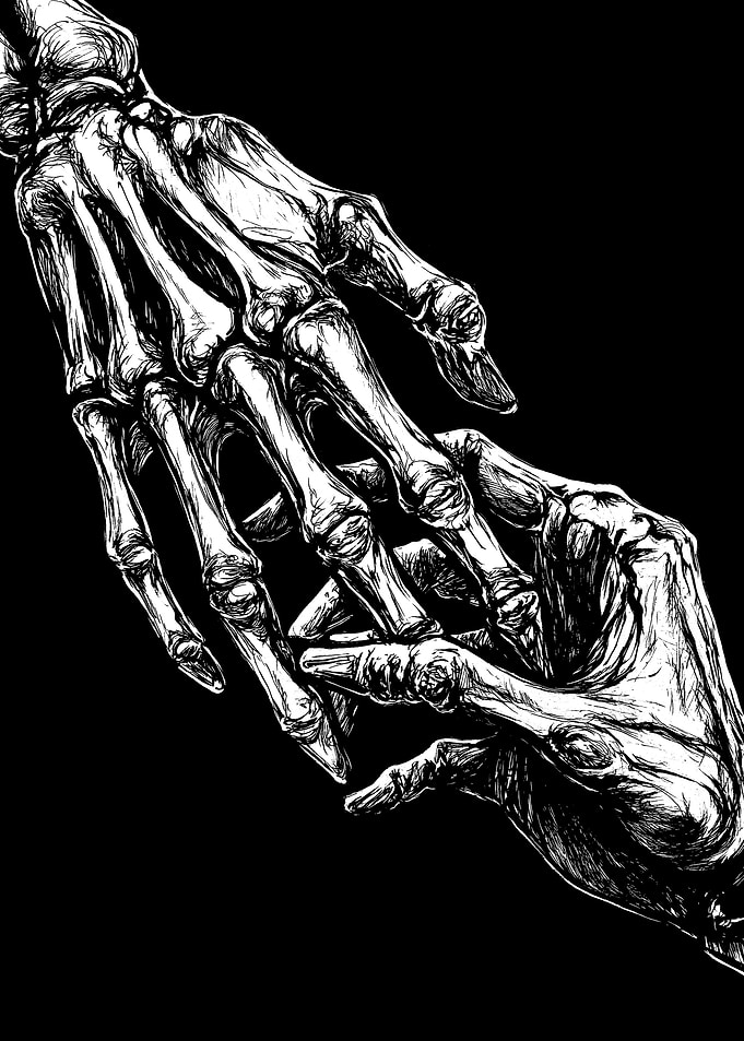 Skeleton Hand Touching Human Hand