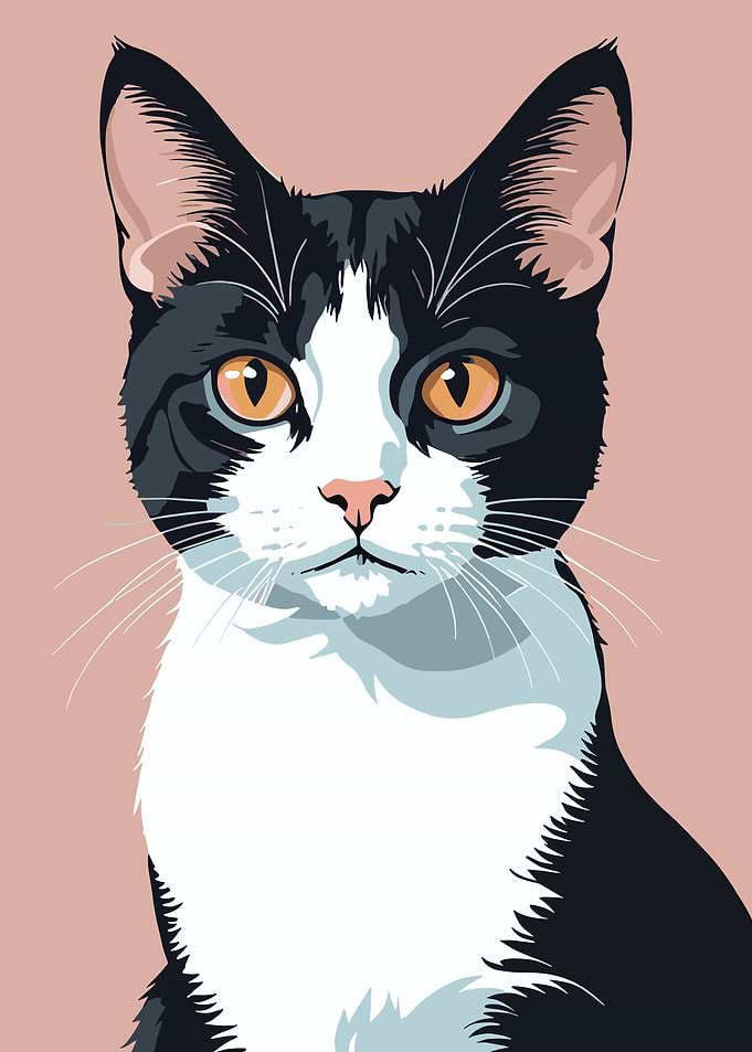 Black and White Cat Portrait