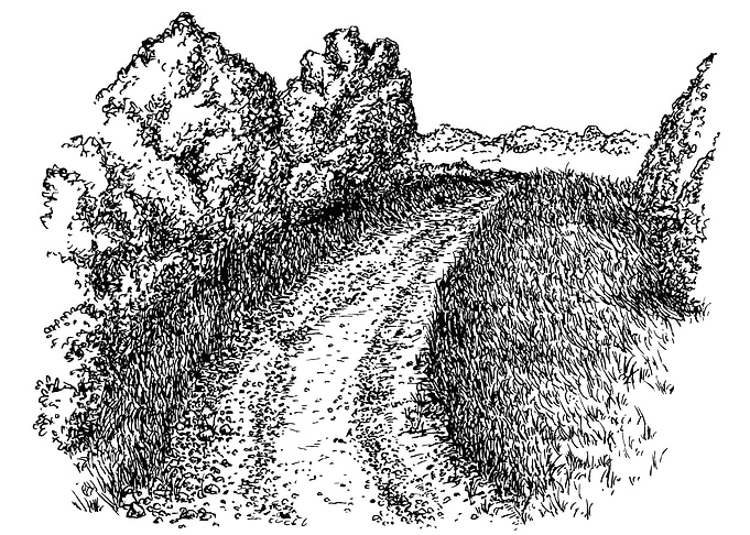 Rural Road Pen and Ink Drawing