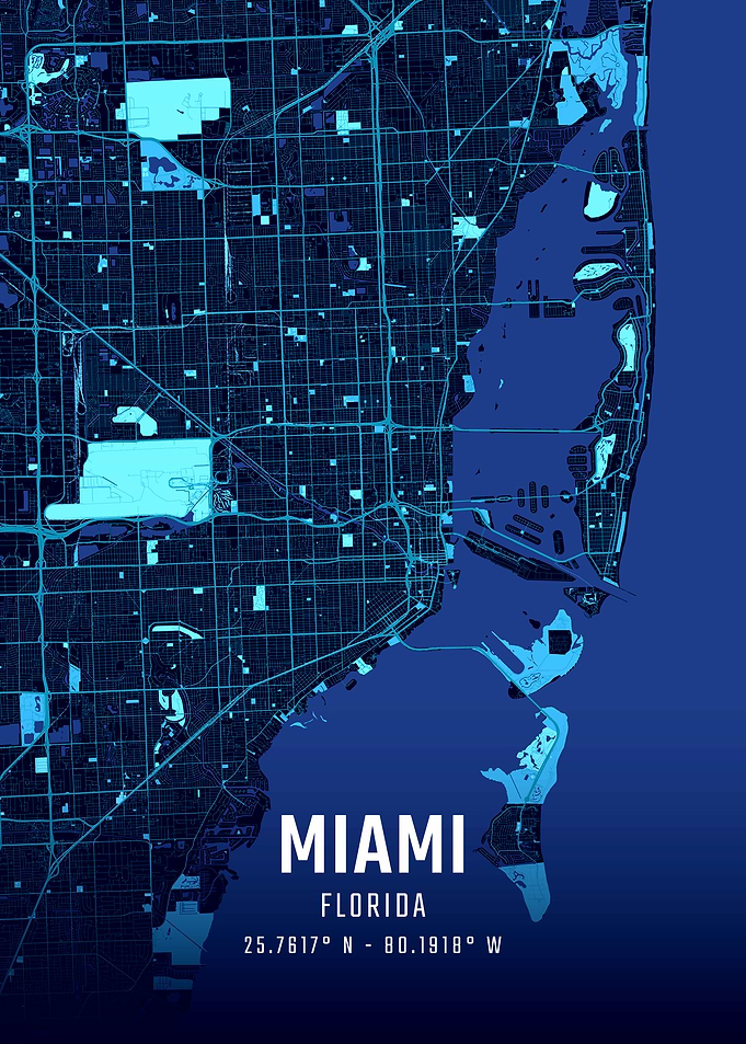 Miami Midnight City Map