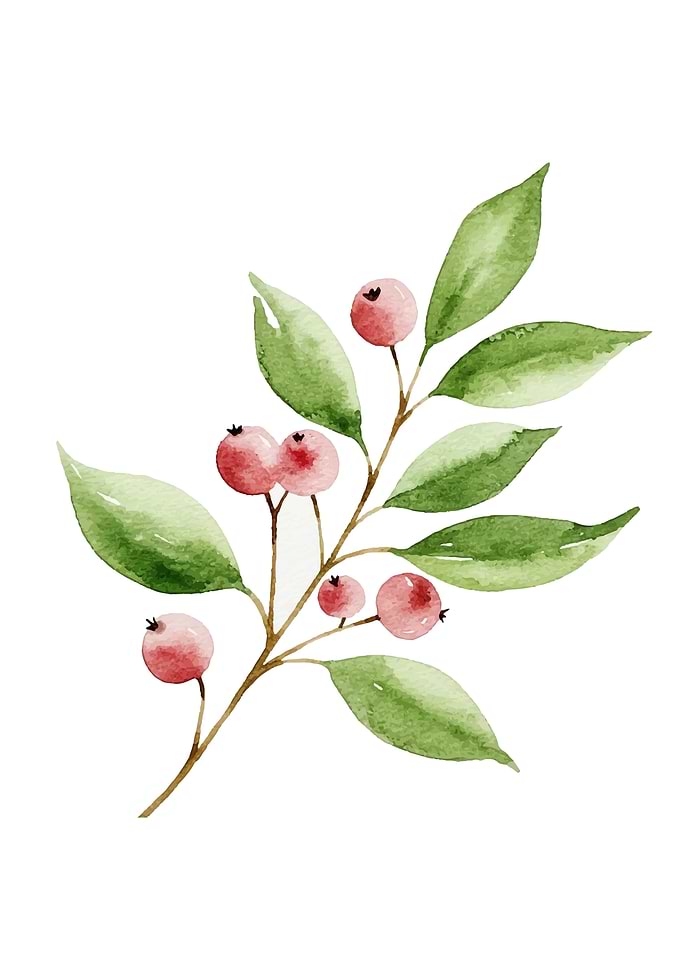 Watercolor Branch with Berries and Leaves