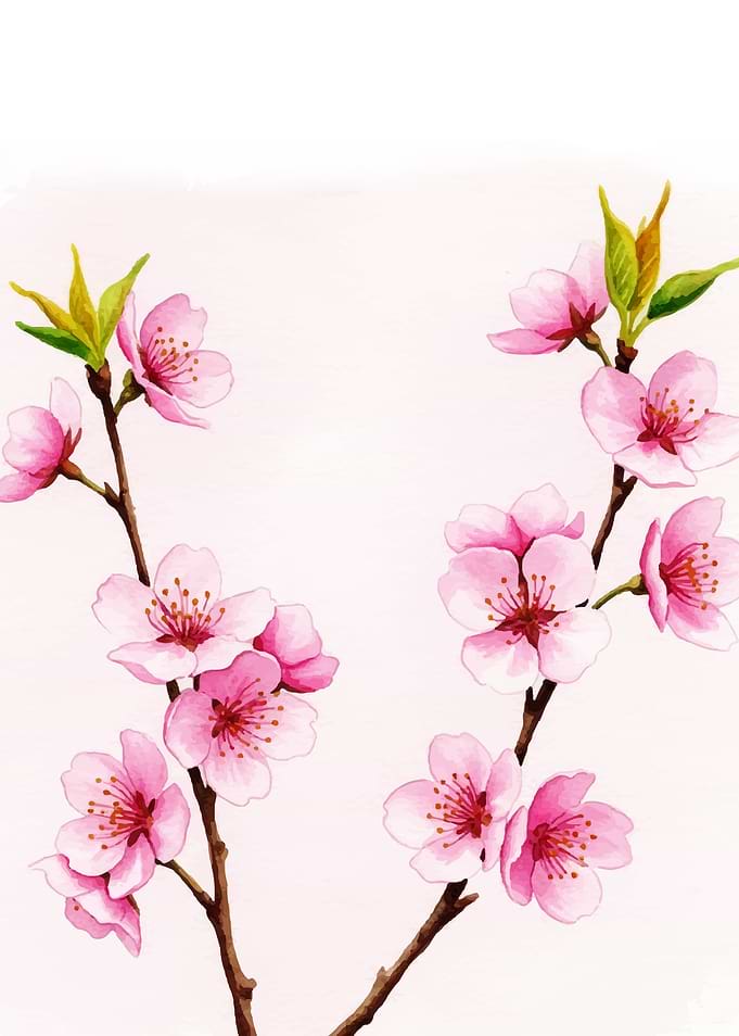 Watercolor Cherry Blossom Branches