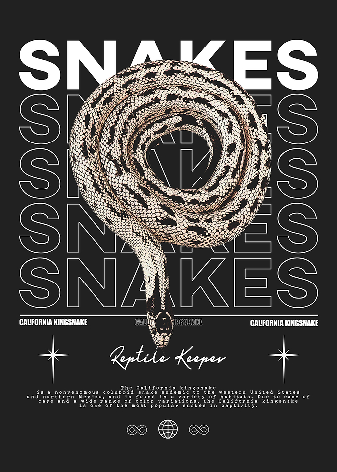 California Kingsnake Reptile Keeper
