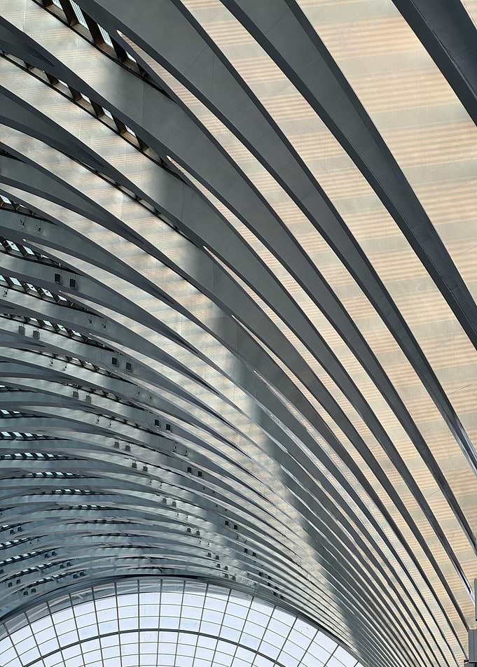 Architectural Ceiling with Arched Metal Beams