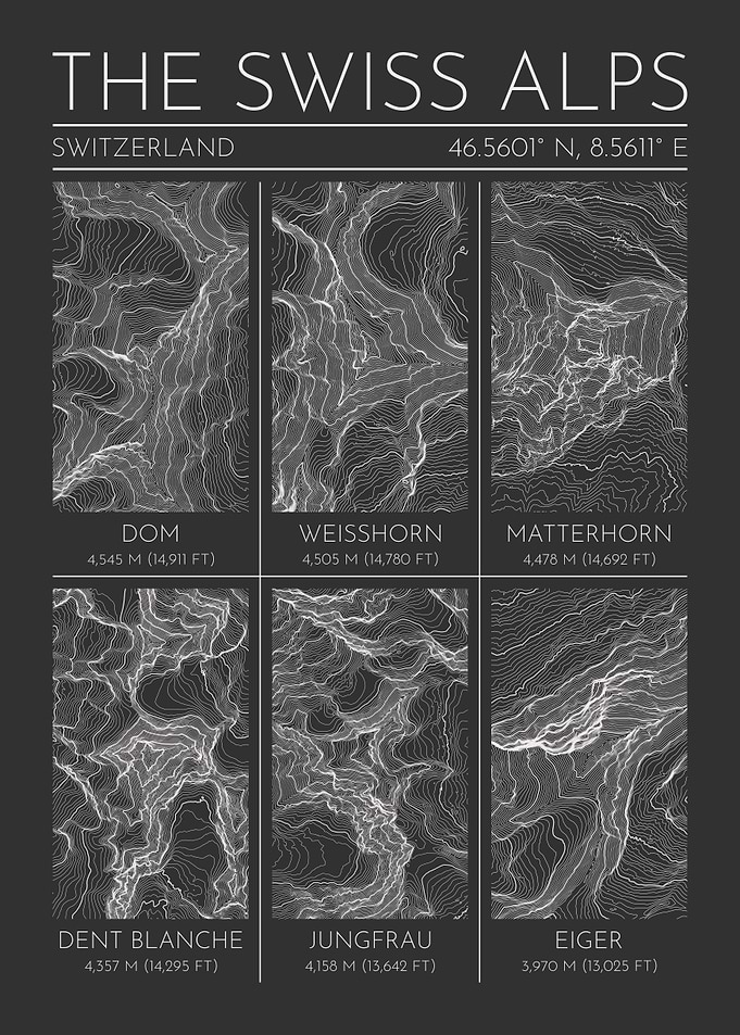 The Swiss Alps Topographic Contour Map