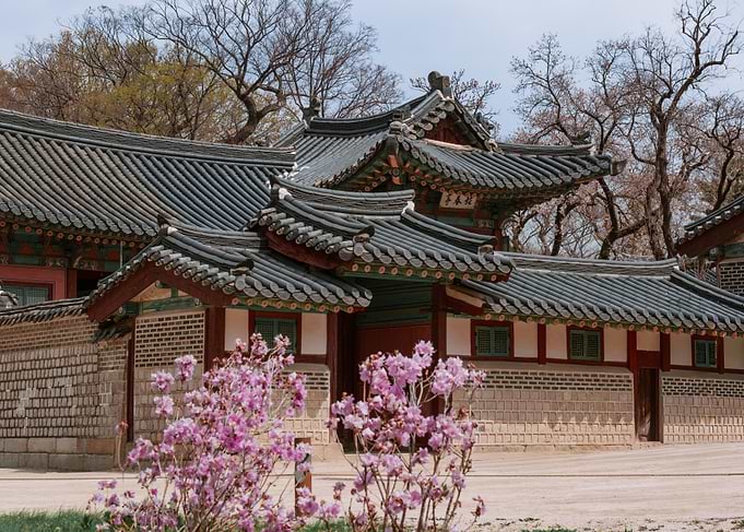 Changdeokgung Palace Flowers in Seoul, South Korea