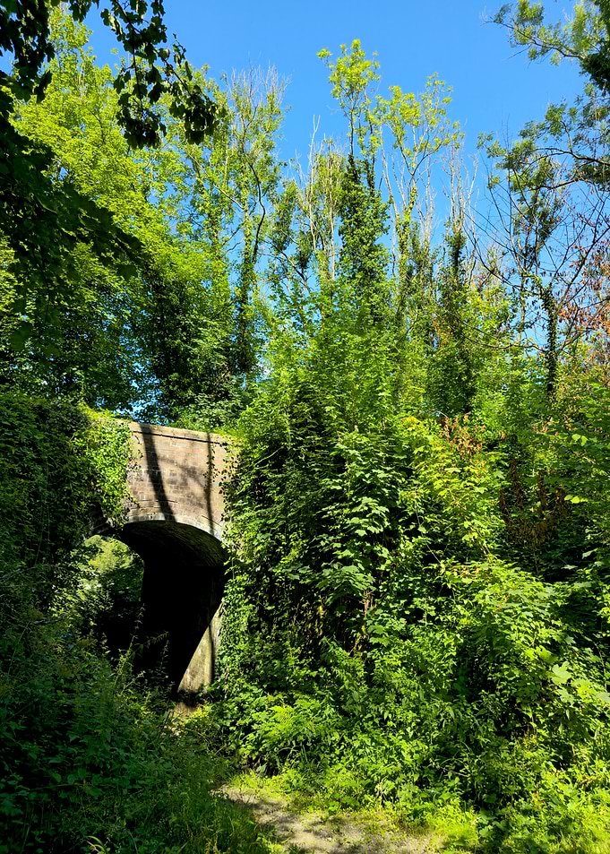 Summer's Embrace - Hidden Archway