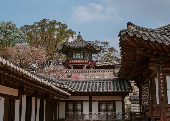 Changdeokgung Palace Cherry Blossoms in Seoul, South Korea
