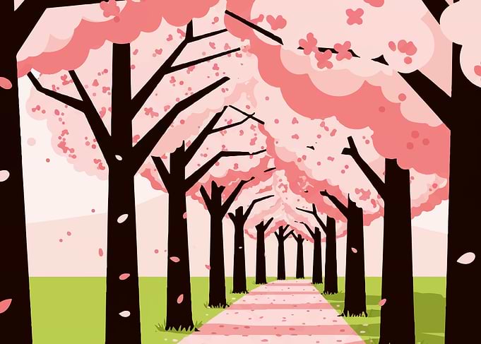 Cherry Blossom Tree Path Illustration