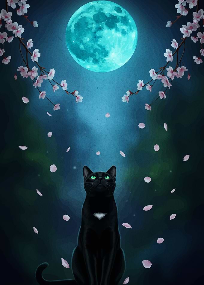 Black Cat Under Moonlight with Blossoms