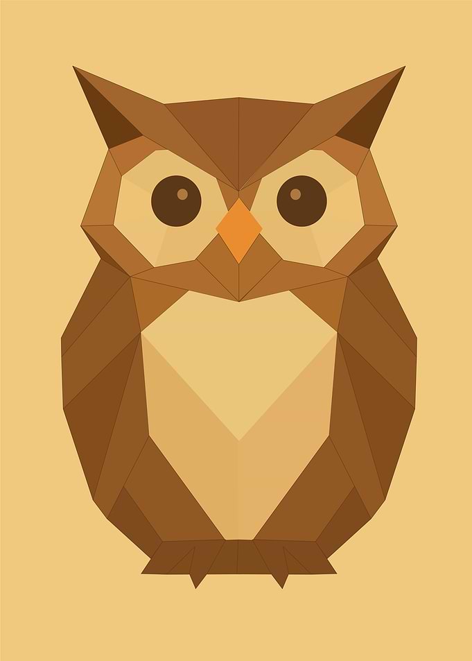 Geometric Owl Illustration