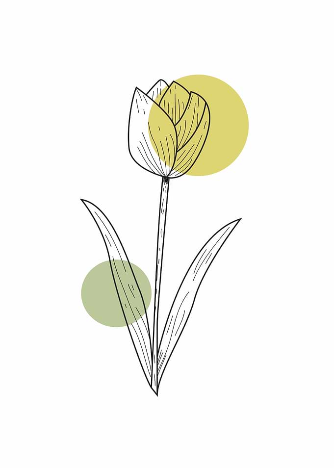 Minimalist Flower Line Art