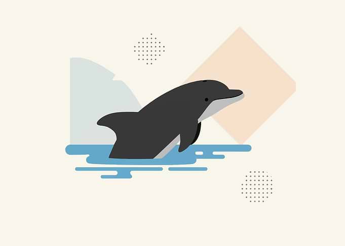 Minimalist Dolphin Illustration