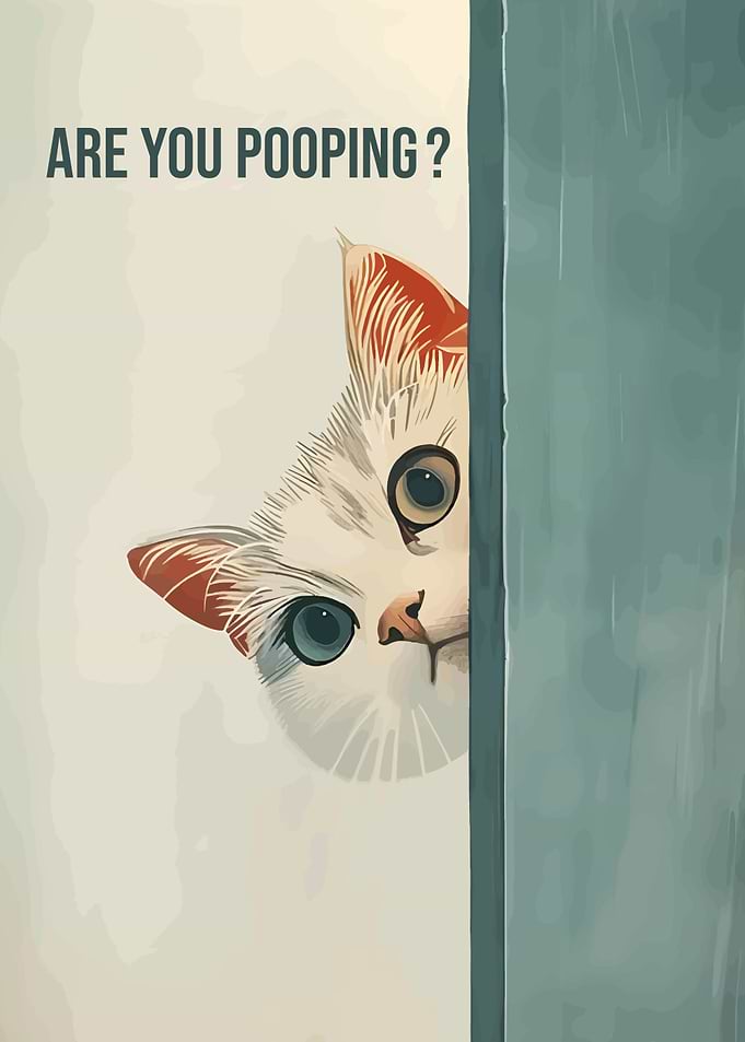 Curious Cat Asks: Are You Pooping?