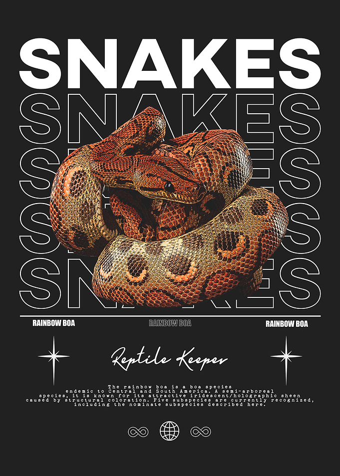 Rainbow Boa Snake Reptile Keeper