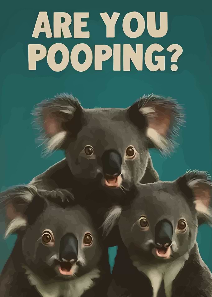 Are You Pooping? Koala