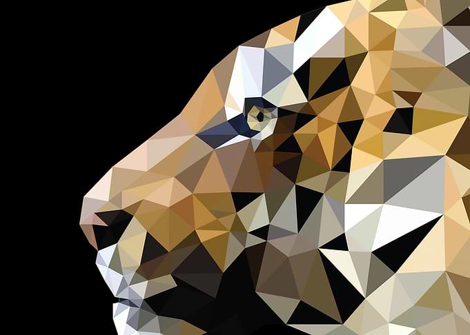 Geometric Tiger Head on Black