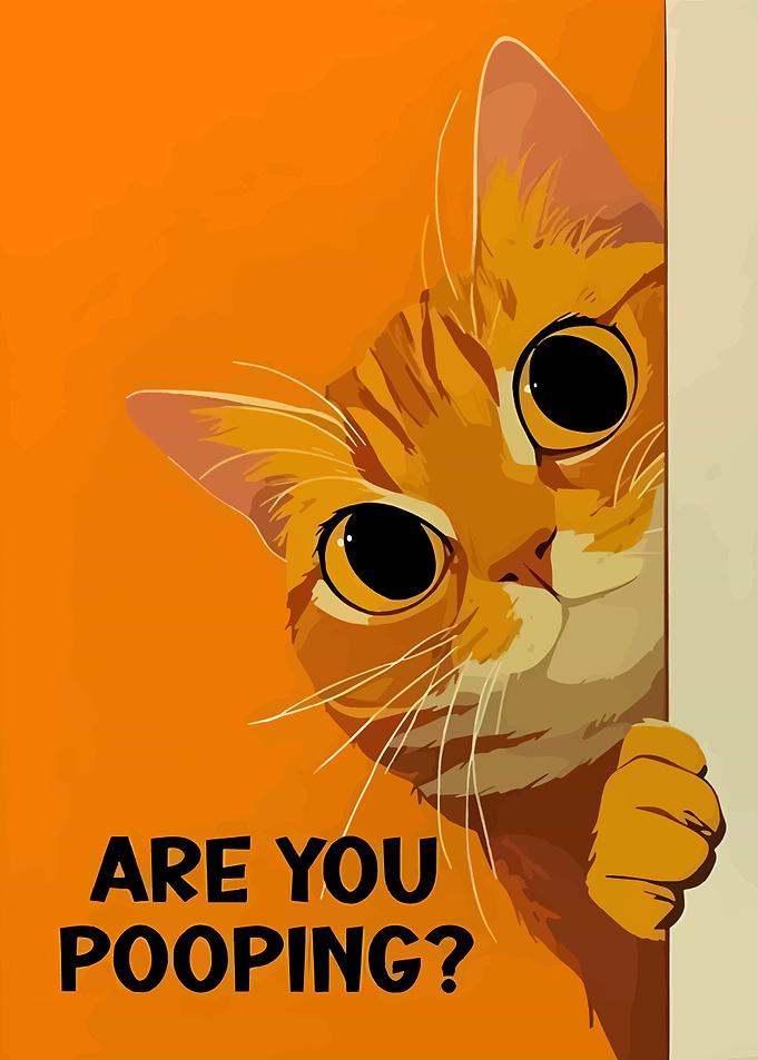 Curious Cat Asks: Are You Pooping?