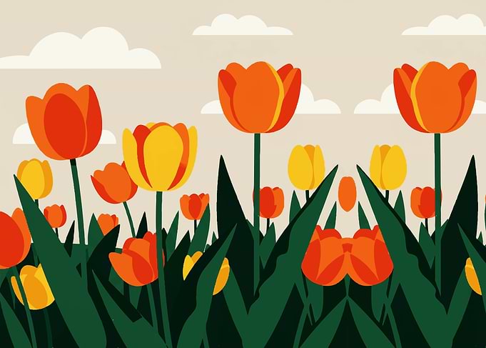 Tulip Field Illustration