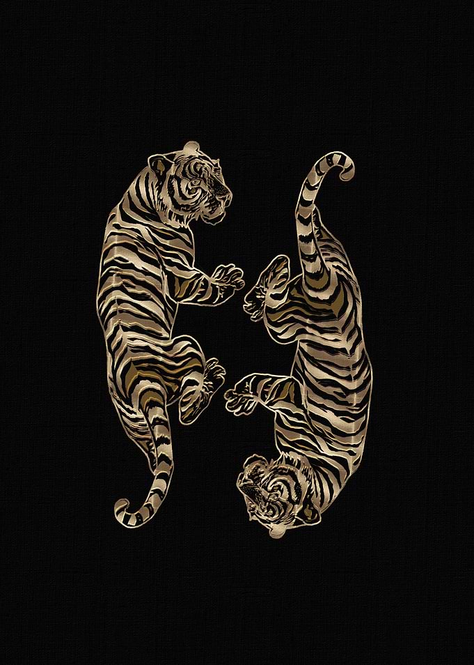 Golden Tigers on Black Background