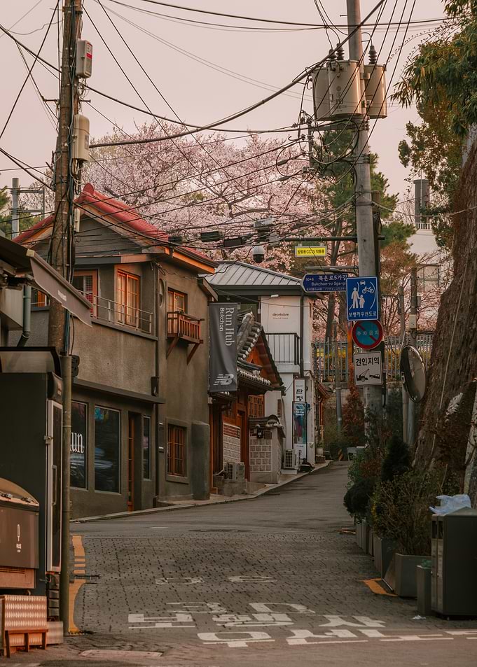 Monring in Urban Seoul with Cherry Blossoms