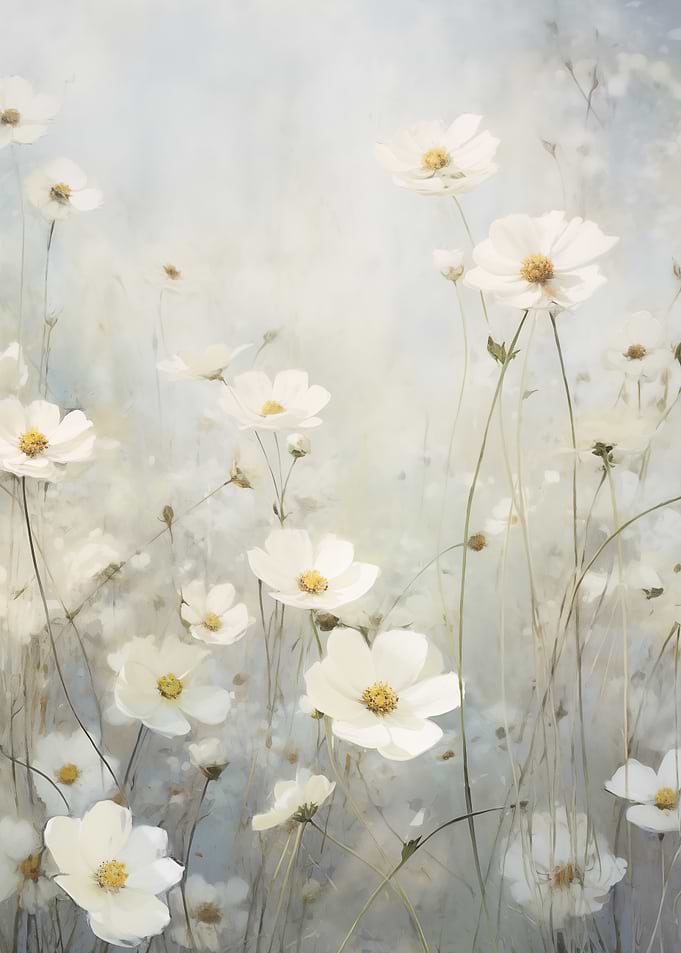 White Soft Cosmos Flowers