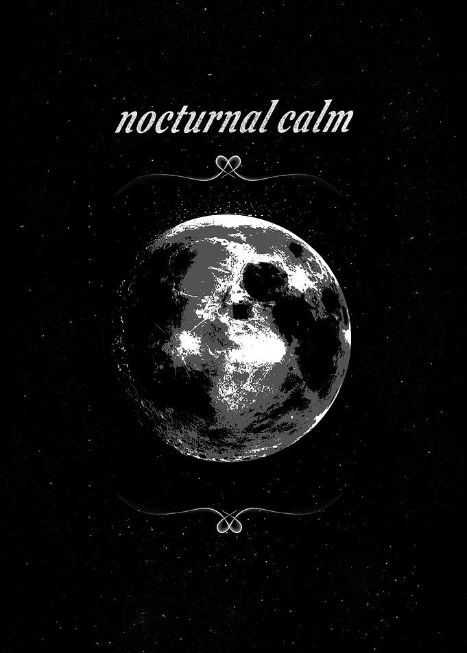 Nocturnal Calm Moon