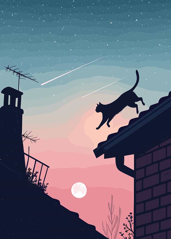 Cat on Rooftop at Night