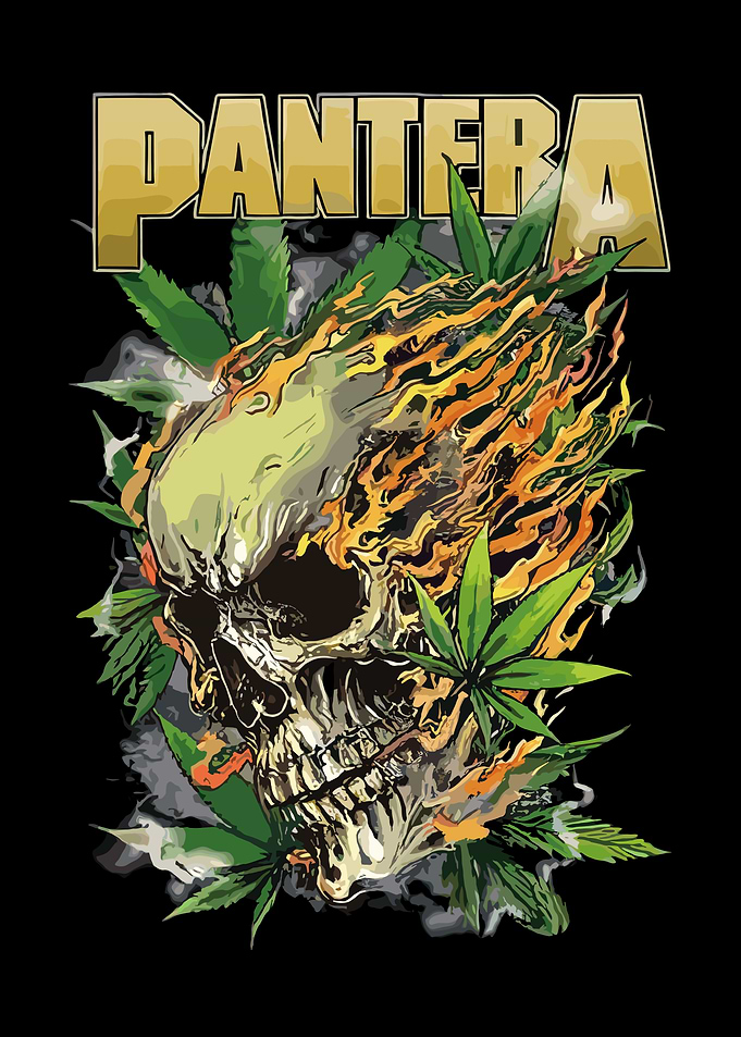 Pantera Skull with Flames and Leaves