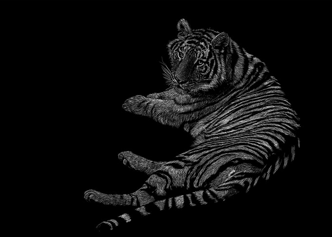 Tigre 3