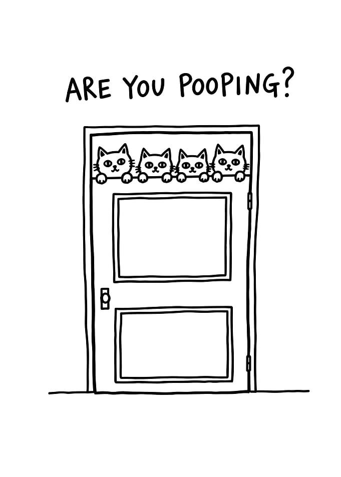 Are You Pooping? Cats Over Door