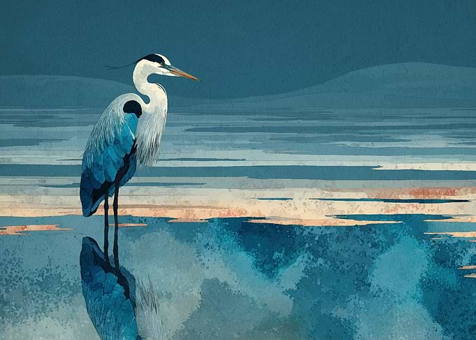Blue Heron in Water Painting