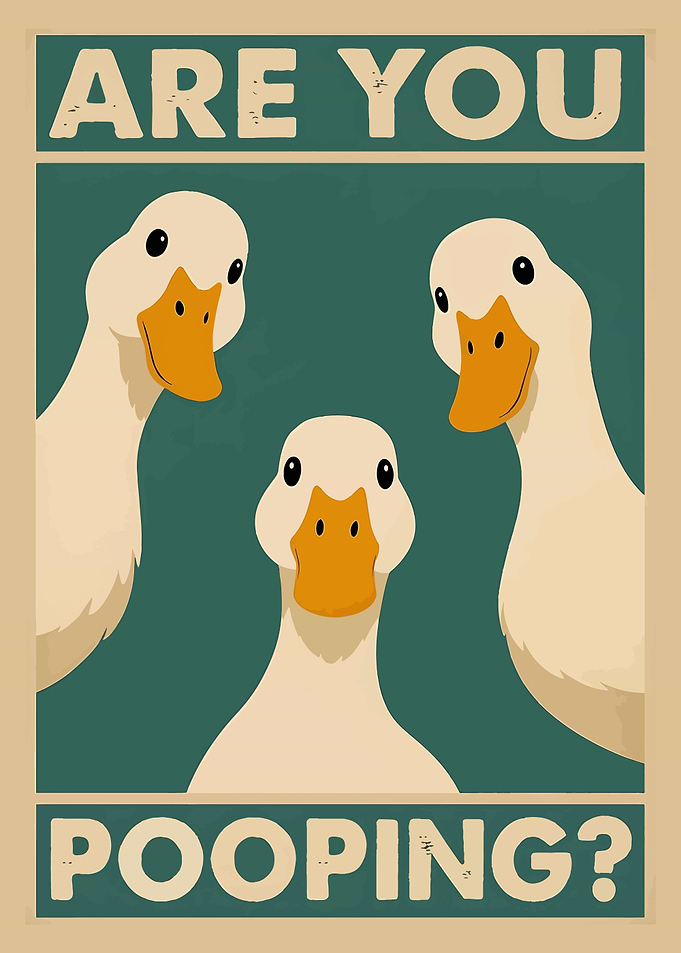 Are You Pooping? Duck Poster