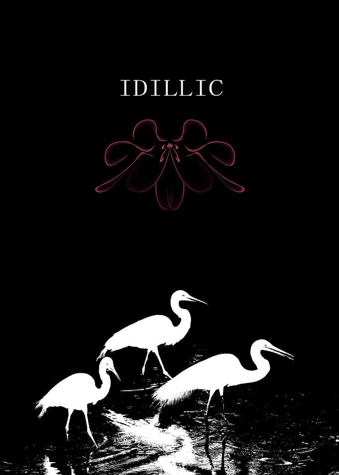 Idyllic Cranes in Black and White